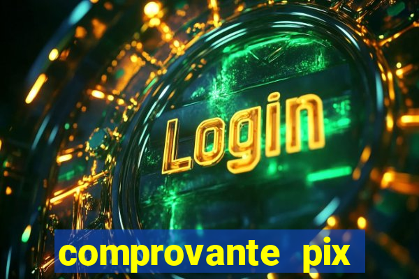 comprovante pix fake meme